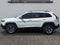 2019 Jeep Cherokee Trailhawk 4x4