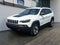 2019 Jeep Cherokee Trailhawk 4x4