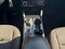 2023 Ford Escape Base