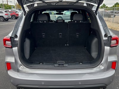 2023 Ford Escape ST-Line Elite