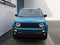 2019 Jeep Renegade Upland