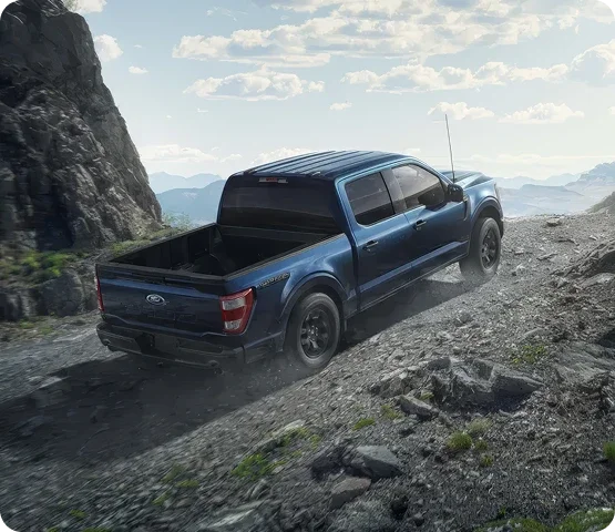 Ford Blue Certified vehicle badge