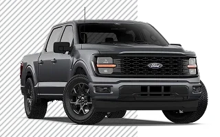 What is a Courtesy Vehicle