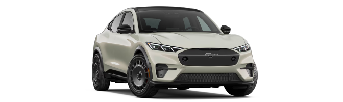 2026 Ford Mustang Mach-E® Rally